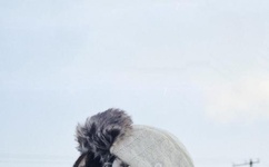 丁香六月久久婷婷开心